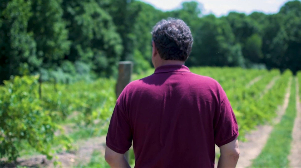 Winemaker Joey Chessor overlooking the vines