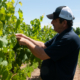 Grinders Switch Winery founder Joey Chessor in the vineyard
